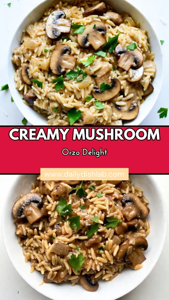 Discover the irresistible Creamy Mushroom Orzo, an easy one-pot pasta dish that satisfies every craving! This vegan mushroom orzo recipe offers a delightful blend of flavors with minimal prep. Perfect for weeknight dinners, it combines orzo pasta, savory mushrooms, and creamy goodness—all in one pot. Save this creamy pasta recipe for quick, delicious meals that everyone will love! #CreamyMushroomOrzo #EasyOrzoRecipe #OnePotPastaDish #VeganMushroomOrzo
